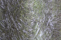 Polloch fibreglass roof work